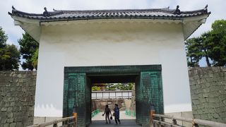 優雅とは程遠い変わった感じ