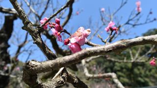 きれいな天満宮