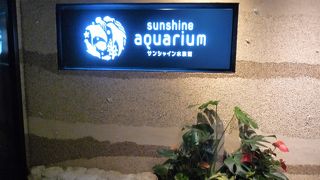 大人気の水族館で，大行列がかえって気分が盛り上がった