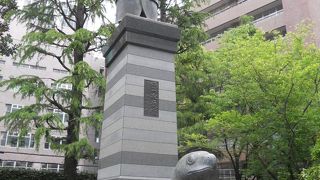 亀に似ている贔屓が印象的