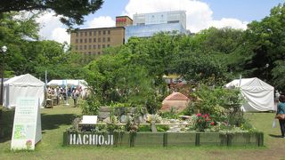 週末は各種イベントを開催する