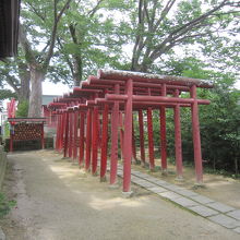 ４妻恋稲荷神社鳥居