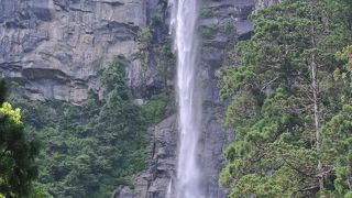 やっぱりいい滝です