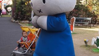 ミッフィーちゃんの専門店