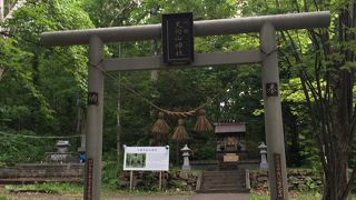 天狗山だけに天狗・・・。しょぼいと思ったリス公園でリスの可愛さにやられる。