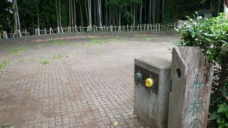 管理された竹林の美しさと夏の涼感に感動した