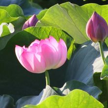 宮地やすらぎの里