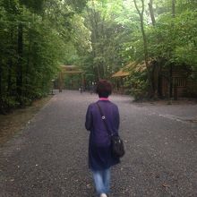 平日だったので空いていました