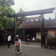 確かに樫木の数が偶数ですね。男の神様なのになんでなんでしょう