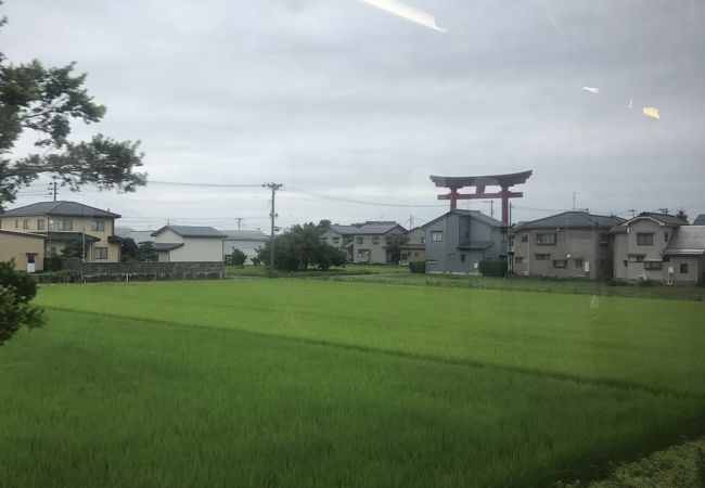 電車から見える