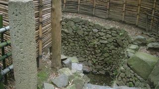 最大の見どころ