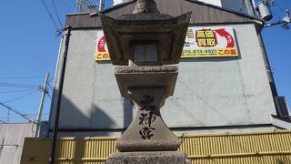 シャープな美しさ