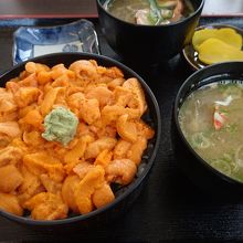 浜の母さん食堂のバフンウニ丼