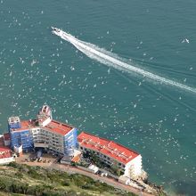 鳥が一斉に飛び立つ