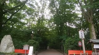 下鴨神社の境内