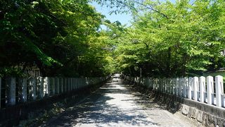 緩やかな登り坂の長い石畳の参道が見どころ