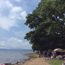 湖岸は人気アリ。林間はまだまだ余裕がありました。