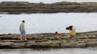 砂浜がほぼ消え去ってしまった海水浴場　蟹を探している家族連れ