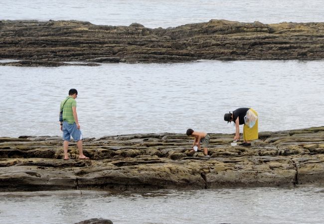 砂浜がほぼ消え去ってしまった海水浴場　蟹を探している家族連れ
