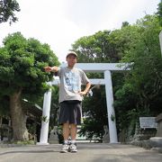 街道沿いの神社