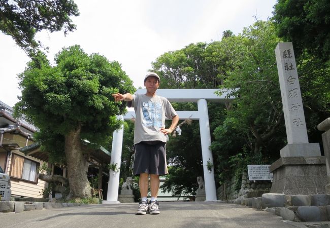 街道沿いの神社