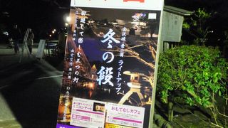 雪吊りのライトアップがきれい