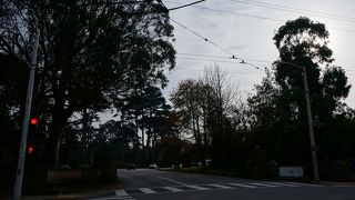 サンフランシスコの広大な公園