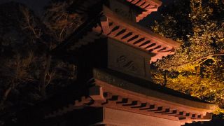 夜間開園時も登ることができました。