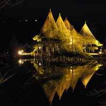 夜間開園時だと池にライトアップがきれいに映ります。