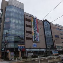 かなり大きいですが・・・