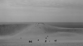 鳥取砂丘の馬の背