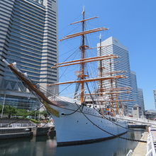 帆船日本丸を見ています