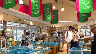 グリーンプラザからすま ベジショップ