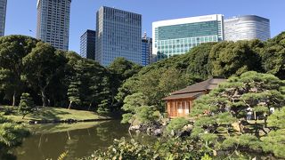 都心にある庭園