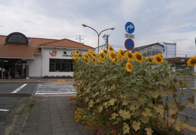 亀山駅／ホームメイト