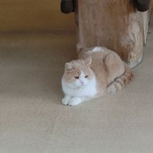 杓文字前にいたので・・・