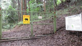 熊が出そうなので・・・