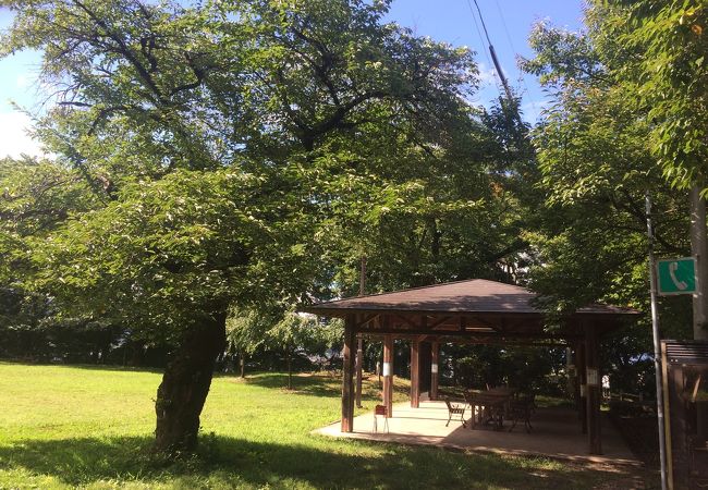 伊那公園 クチコミ アクセス 営業時間 伊那 フォートラベル