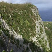 悲しい雰囲気が漂う