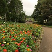 広くて静かな公園