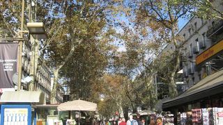 歩きやすいランブラス通り