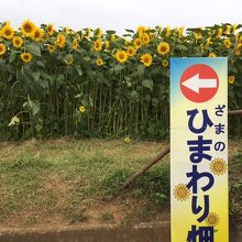 座間市観光協会