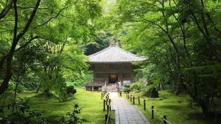 美しい庭と悲しい逸話