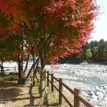 紅葉と太田切川