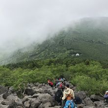 岩ゴロの登山道