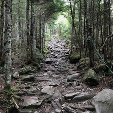 登山口近くの登山道