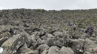 蓼科山に登りました