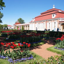 花も綺麗でした