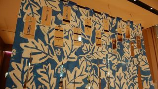 2017年夏SUMMER LIGHT GARDEN