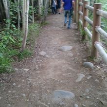 こんな道を歩きます。